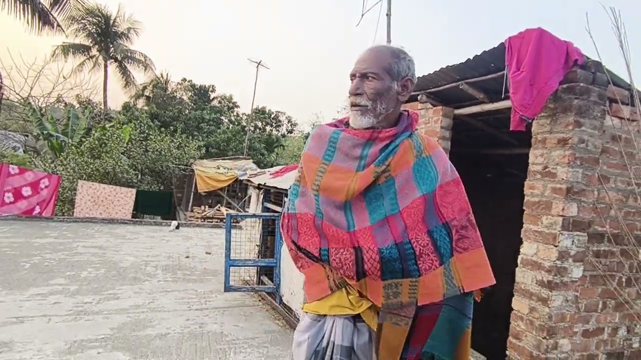 ওয়াদ কাকার বাড়ি একটা পায়রা এসছে  দিলদার ভাইয়ের পায়রা নামলো কিনা দেখুন#pigeon#vilalvideo#🧿🕊️🪽😊👍 