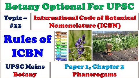 Rules of ICBN: International Code of Botanical Nomenclature: Paper 1: Chapter 3: Phanerogams: UPSC