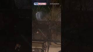 Watch: Pea-sized Hail Pummels Geneva, Illinois
