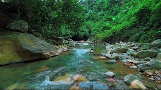 Feel Deep Peace with Soothing River Current for Sleep Relaxation and Calm Nights