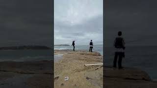 0号gamakatsu千又竞3  0-530浅场怒操良型黑毛