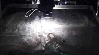 Insofern