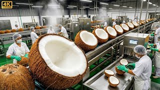 Inside the Factory: How Coconuts Are Turned into Delicious Coconut Milk (Full Process Factory)