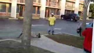 david intro