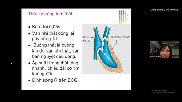 CHỨC NĂNG BƠM MÁU CỦA TIM | ThS. BS. Đặng Huỳnh Anh Thư | Ôn thi CKI 2023