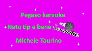 karaoke Nato tip e bene Michele Taurino