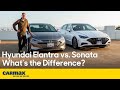 Hyundai Elantra vs. Sonata: What's the Difference? | Prices, Exterior, Interior, Driving & More