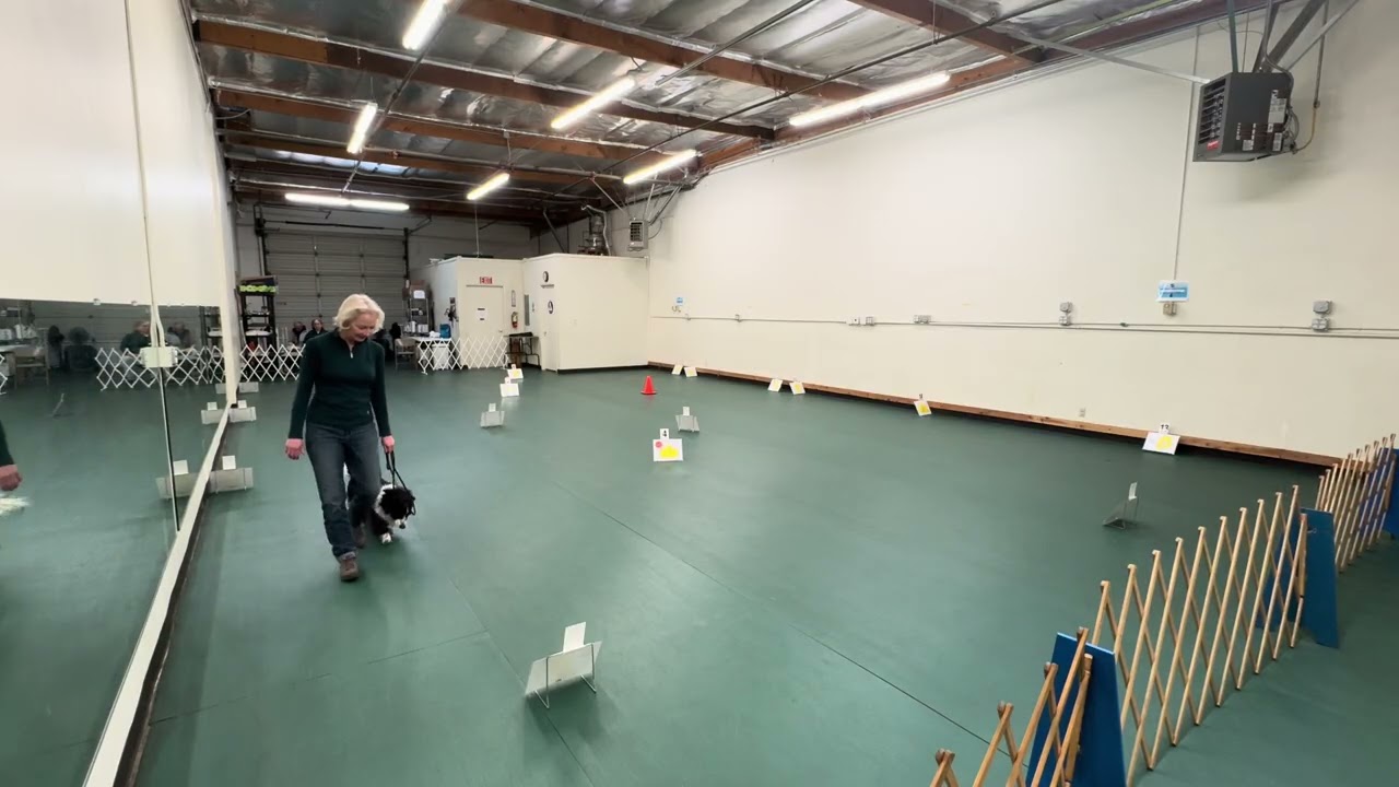 Emma Ruiz Tagle Rally Novice Course 3