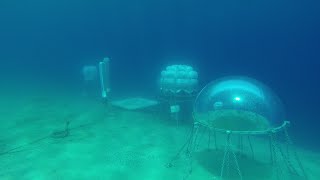 Nemos Garden - The Experiment Site, Noli Italy Orto Di Nemo By Ocean Reef Group