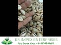 Peeli Kodi Kauri Kowri Cowry Kaudi Cowrie Gavvalu Fresh Stock Available Peeli Kodi Kauri Kowri Cowry Kaudi Cowrie Gavvalu Fresh Stock Available