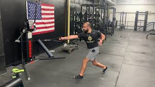 Standing Split Stance 1 arm Cable Row and Reach Net Worth