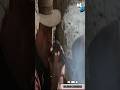 Clint Eastwood's FASTEST Gunfight EVER!
