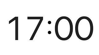 17 Minute Timer Net Worth