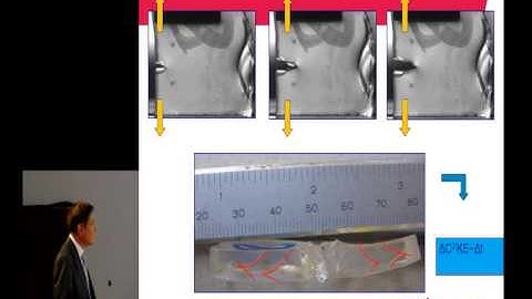 Jacques M. Huyghe, "Finite Swelling and Fracture of Biological Tissues...
