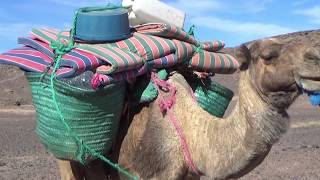 Les Hirondelles d'Agadir : Suite du Reportage de France 2 par Alain et Chrystel