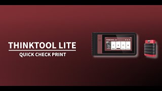 Diagnostika Thinktool Lite Quickcheck Print Shop.fcd.eu