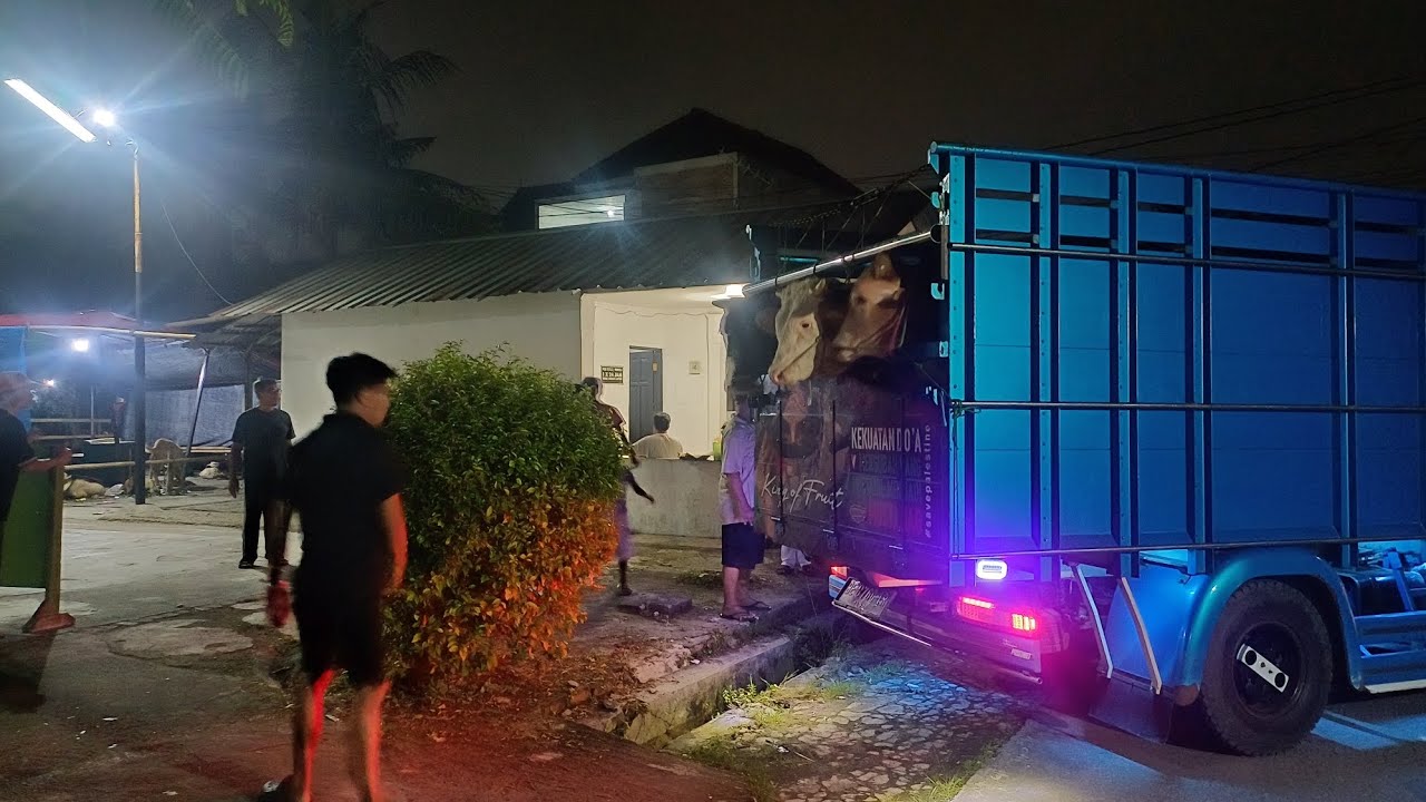 Penurunan Sapi kurban idul adha di musholla Al Ikhlas