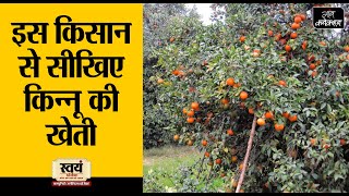 'किन्नू की खेती पंजाब' ही नहीं उत्तर प्रदेश में भी हो सकती है | Kinnow Cultivation in Uttar Pradesh