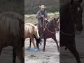 Choose your horse