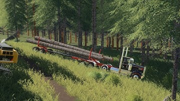 Live FS19 Logging: Making Roads