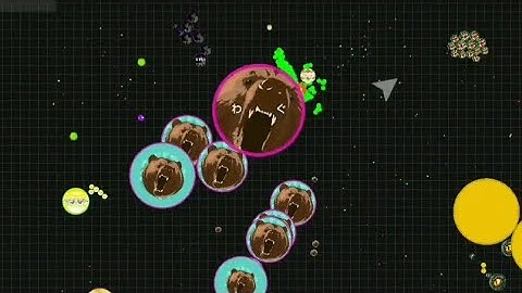 Blobio Duo Macro with NICOLAs