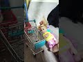 at the store