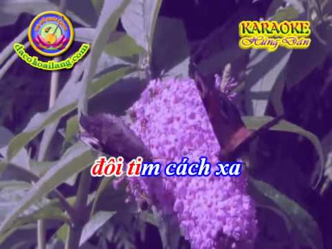 Karaoke - Ly con sao & Trang thu da khuc - HD.avi