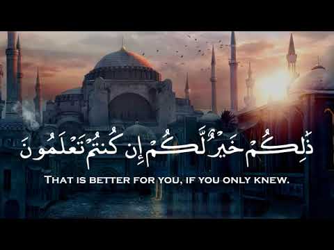 أجمل حالات واتس اب أجمل فيديوهات قرآنية عن يوم الجمعة آيات مؤثرة وخاشعة من أجمل ما سمعت