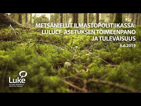 Video: Mikä on kasvien pääosasto?