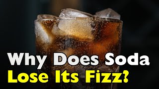 Why Does Soda Lose Its Fizz? Where the Bubbles Actually Go