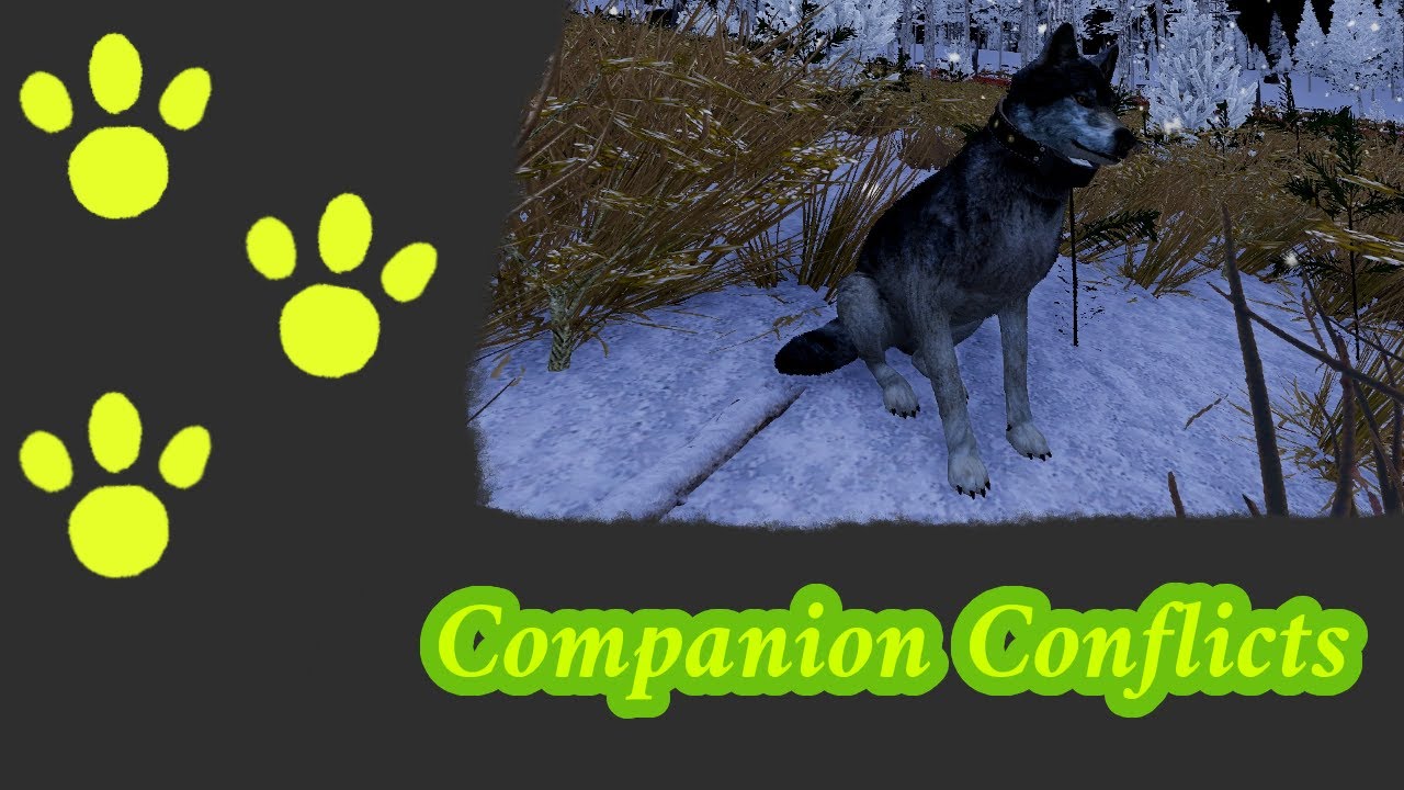 Companion Conflicts - Tracker's Tale Episode 4