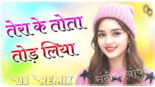 Tota Tod Liya Dj Remix || 5D Brazil Power Mix || Tera Ke Tota Tod Liya || Haryanvi Dj Remix Song