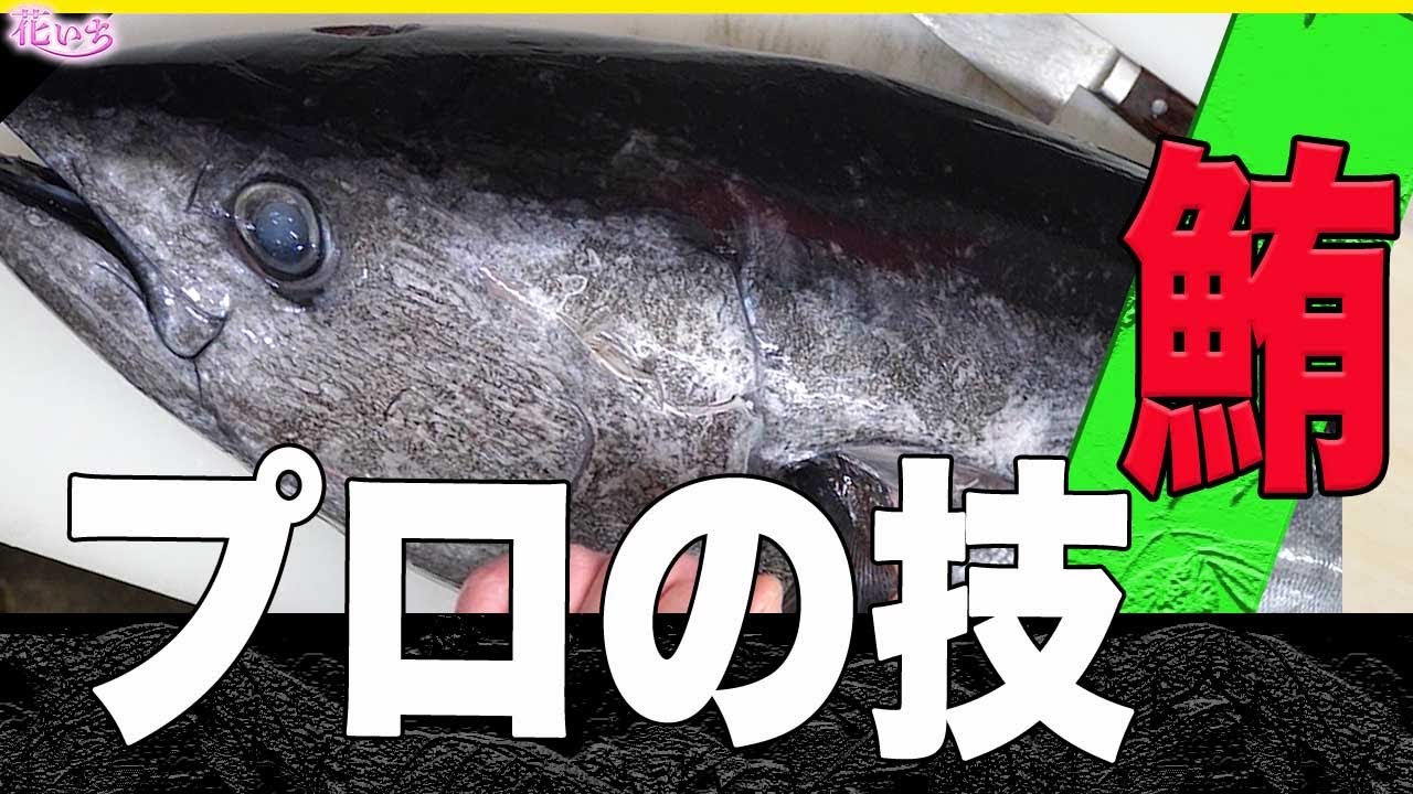 【生まぐろ解体】プロの職人が家庭用包丁で30kgの本鮪を捌く技！教えます！
