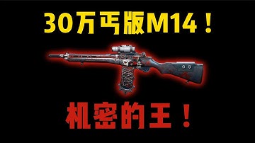 30万丐版M14 ! 机密大坝的王！三角洲行动 The “beggar version” of the M14! The king of secret dams! Delta Force