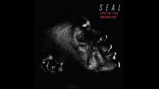 Seal - Life on the Dancefloor (Instrumental Version)