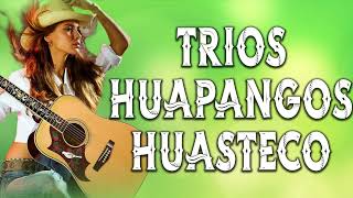 MIX HUAPANGOS HUASTECOS - VARIOS TRIOS