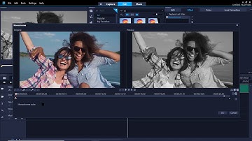 How to Add Effects and Filters in VideoStudio