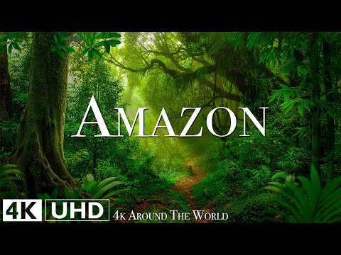 Видео: Amazon 4K • Живописный расслабляющий фильм с умиротворяющей расслабляющей музыкой и видео о природе