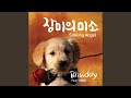 장미의 미소 Feat 최희정 장미의 미소 Feat 최희정