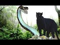 Los 10 animales mas peligrosos del Amazonas.