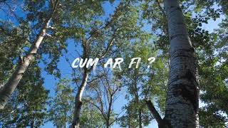 Inna - Ar Fi? Online Dance Kids