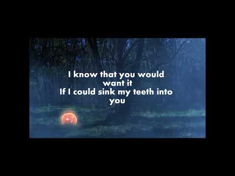 Aly & AJ - Take Me (Lyrics)