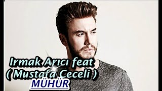 Irmak Arıcı. feat ( Mustafa Ceceli ) - Mühür ( KARAOKE )