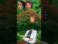Fitat Tun Jaruman Kannywood Mata Hausa Da Fulani Duet Anime Kannywood Idolgroup Shobi Idolband 