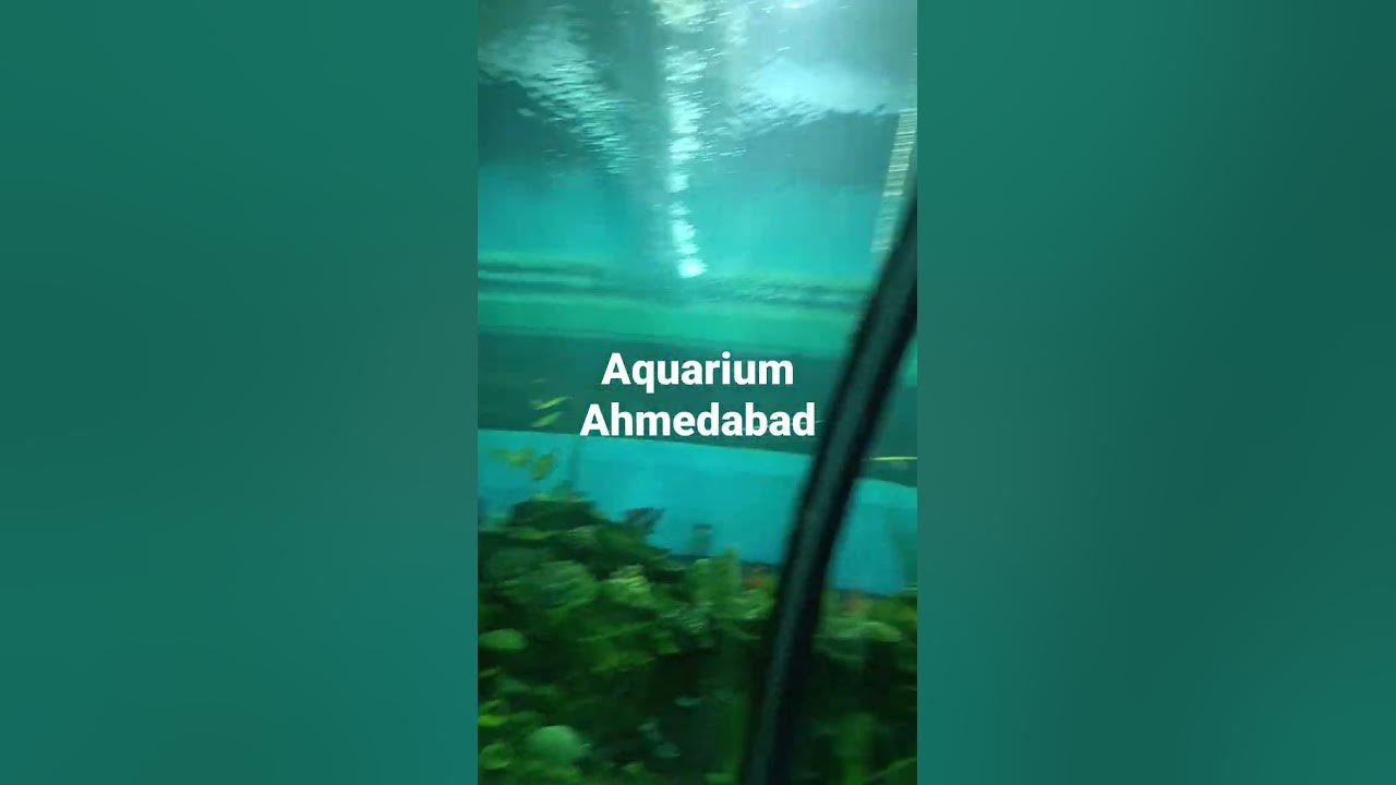 Aquarium Ahmedabad Charandas Yadav YouTube