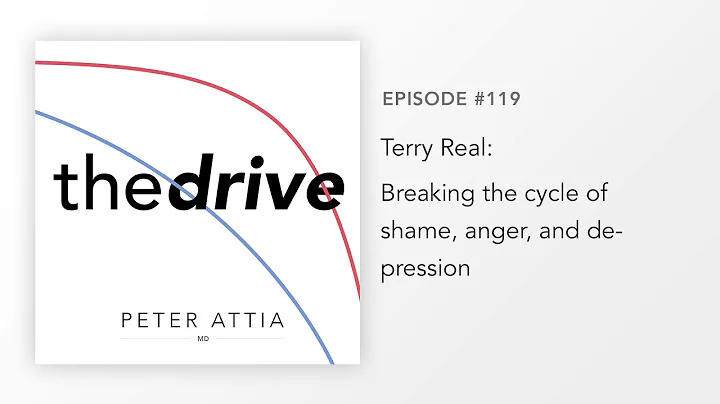 #119  Terry Real: Breaking the cycle of shame, ang...