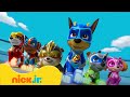 ¡Rescates a propulsión con PAW Patrol! 🚀 | Compilación de 15 minutos | Nick Jr. en Español