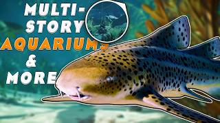 Planet Zoo 2 Aquariums Are WAY Bigger Than We Thought…| Animal Spotlight | Planet Zoo 2