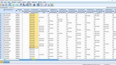 Day 4- REKS Externship program: Data Analysis Using the SPSS software