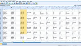 Day 4- REKS Externship program: Data Analysis Using the SPSS software